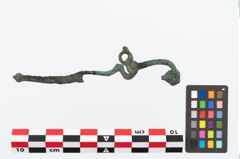 Foto von Bronzeschlangenfibel (NHMW-PRAE-023659)